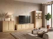 ТВ модул RTV4D RINGO - 2026